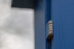 IMG_2610-683x1024