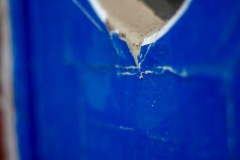 IMG_2627-1024x683