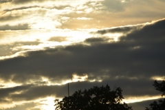 DSC_0038
